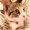 Photo of Tina Q.