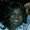 Photo of Tracy C.