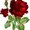Photo of Qype User (roeder…)