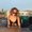Photo of Aly K.
