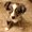 Photo of Chanel G.
