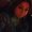 Photo of Vanessa N.