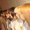 Photo of Qype User (Beckma…)