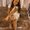 Photo of Brittany H.