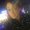 Photo of Rachel G.