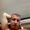 Photo of Josh H.