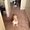 Photo of Christi M.