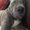 Photo of Christy G.
