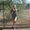 Photo of Cassidy R.
