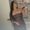 Photo of Nilda V.