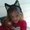 Photo of Angela R.