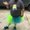 Photo of Micah G.