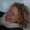 Photo of Ineke K.