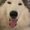 Photo of Sandi M.