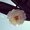 Photo of Nathaly T.