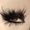 Photo of Lisette L.