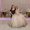 Photo of Daici Mendez