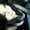 Photo of Alexa D.