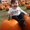 Photo of Jessyca R.
