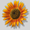 Photo of Qype User (LukasM…)