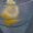 Photo of Sea G.