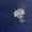 Photo of Betty D.