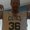 Photo of Daryl B.
