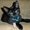Photo of Ilesha G.