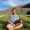 Photo of Julie N.