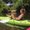 Photo of LeeAnn P.