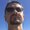 Photo of Sean M.
