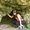 Photo of Jami N.