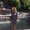 Photo of Gina M.