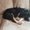 Photo of Eryn H.