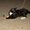 Photo of Esme A.