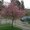 Photo of Huyen N.