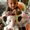 Photo of Swapnil P.