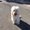Photo of Todd S.