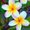 Photo of Jen N.