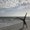 Photo of Sara R.