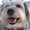 Photo of Doggy D.