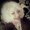 Photo of Denise M.