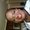 Photo of Folashade A.