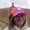 Photo of Bree G.