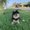 Photo of Mayra J.