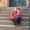 Photo of Liliana N.