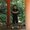 Photo of Davin M.