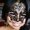 Photo of Desiree C.