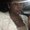 Photo of Tamika M.