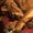Photo of Sidney C.
